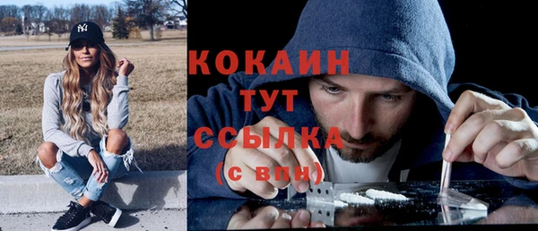 кристаллы Гусь-Хрустальный