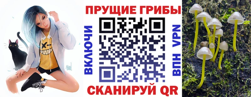 Псилоцибиновые грибы мухоморы  Купить  Алдан 